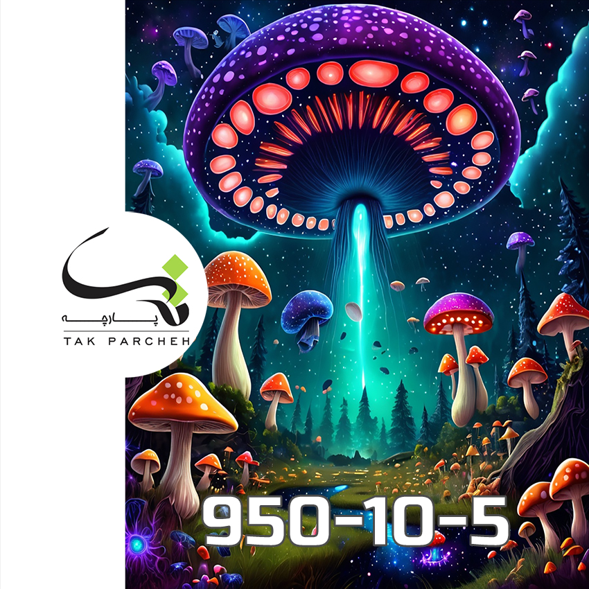 950-10-5