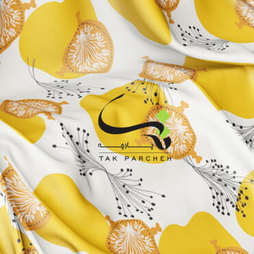 طرح ریشه‌ها و نور